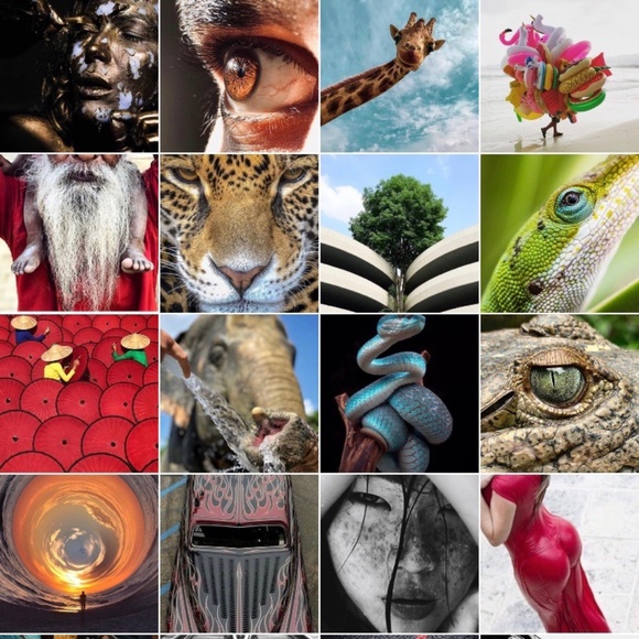 Meet your Posher, Ogee - Picture 6 of 15